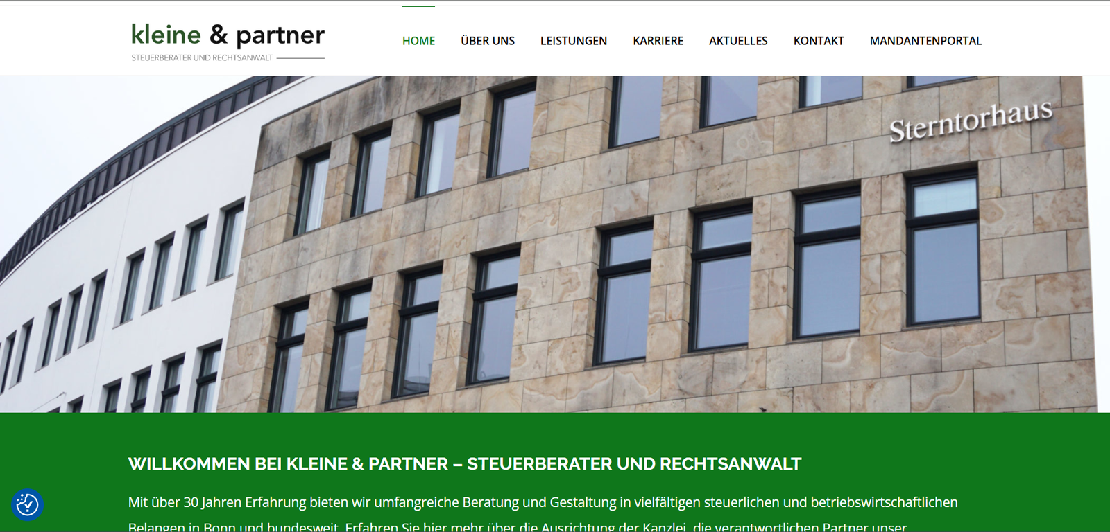 Steuerberater Kleine website preview